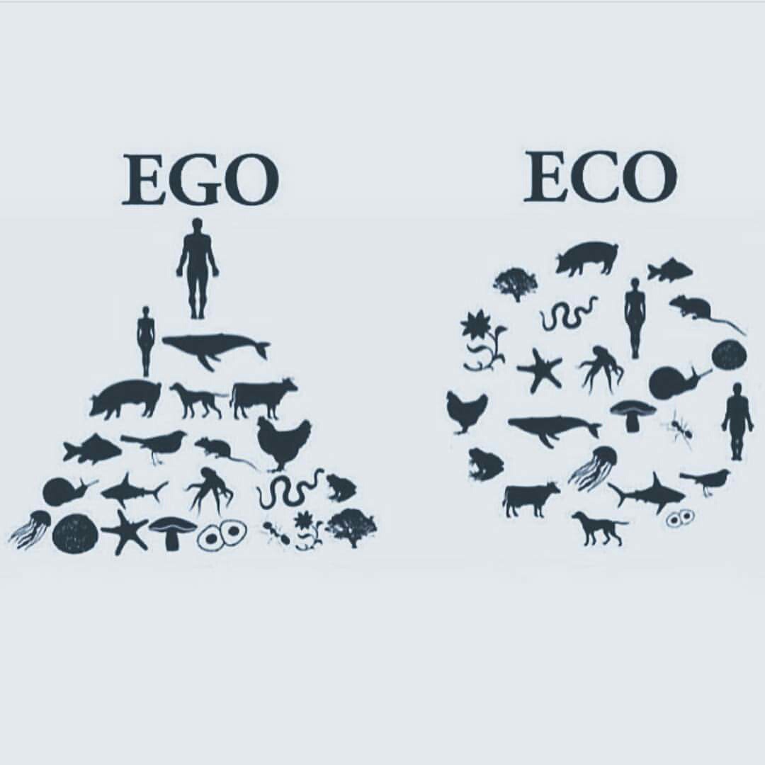 dalış ve egp, dalış ve ego arasındaki ilişki nedir, dalışta ego olurmu, dalış egosu yüksek bir spormudur. dalışta neden ego vardır.