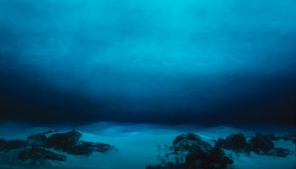 sualtı bölgesini tanımanın önemi, sualtında dalış noktasını tanımak, sualtı dalış noktasını neden tanımalıyız, sualtında dalış yapmanın önemi nedir