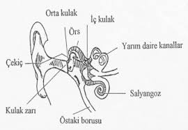 kulak barotravması, kulak barotravması nedir, kulak barotravmasının sebepleri