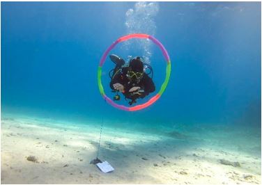 dalışta yüzerlilik nedir, dalış ve yüzerlilik hakkında bilgi, sualtında yüzerlilik nedir, dalışta yüzerlilik hakkında bilgiler