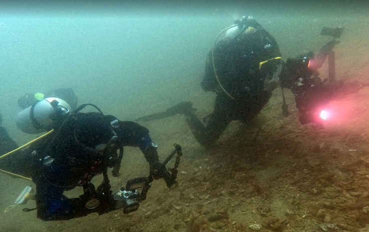 sualtında misafir olmak nedir, sualtında misafir nedemek, tüplü dalışta misafir olmak deyimi nedir, sualtında dikkat edilmesi gereken hassas noktalar nelerdir